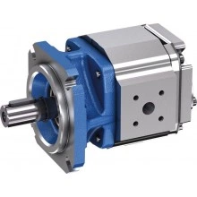 Internal gear pump PGP