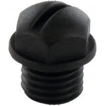Plug screw