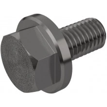 Plug screw for cover