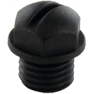 Plug screw